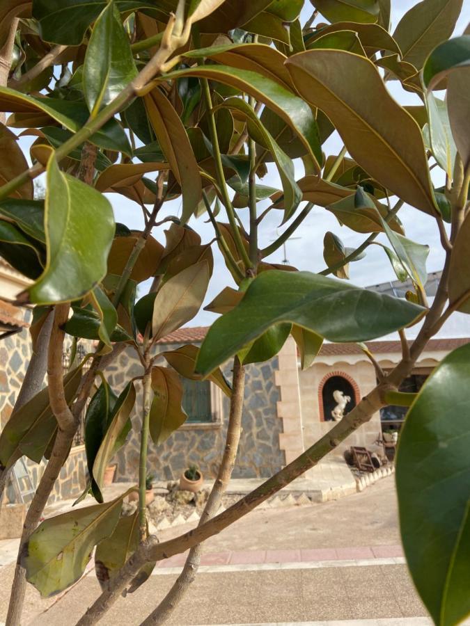 Esse Natura Alojamientos & Lifestyle Pozohondo Экстерьер фото